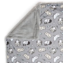 Kitten Around Cat Blanket